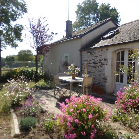Gite De Bellerive Sainte-Gemme-sur-Loire Exteriör bild